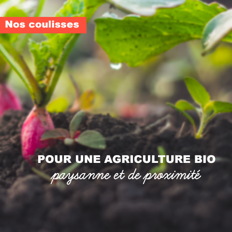 Pour une agriculture bio, paysanne et de proximité 