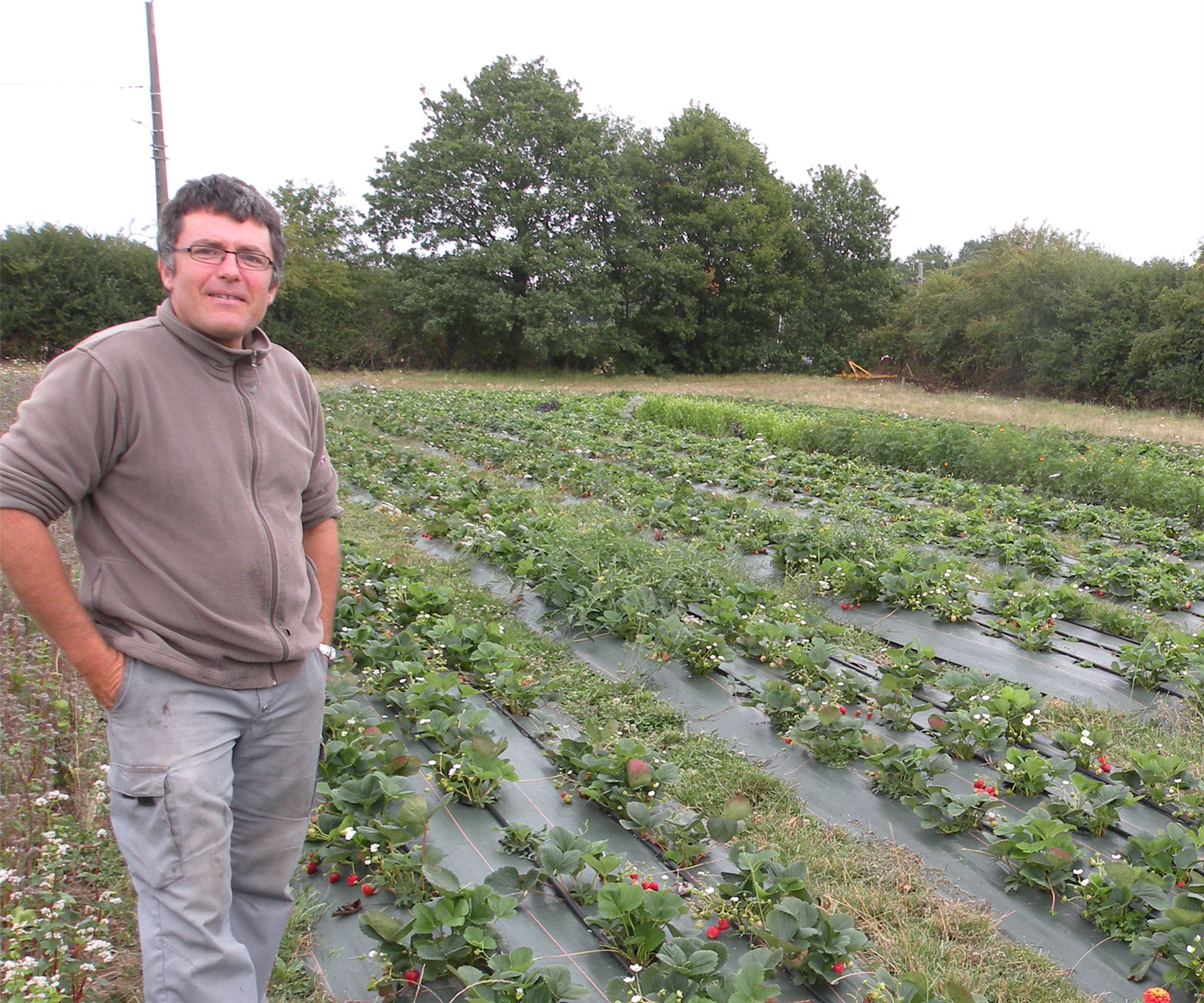 Lauréats du Pois Tout Solidaire : que sont-ils devenus ? La Ferme du Picton Gourmand