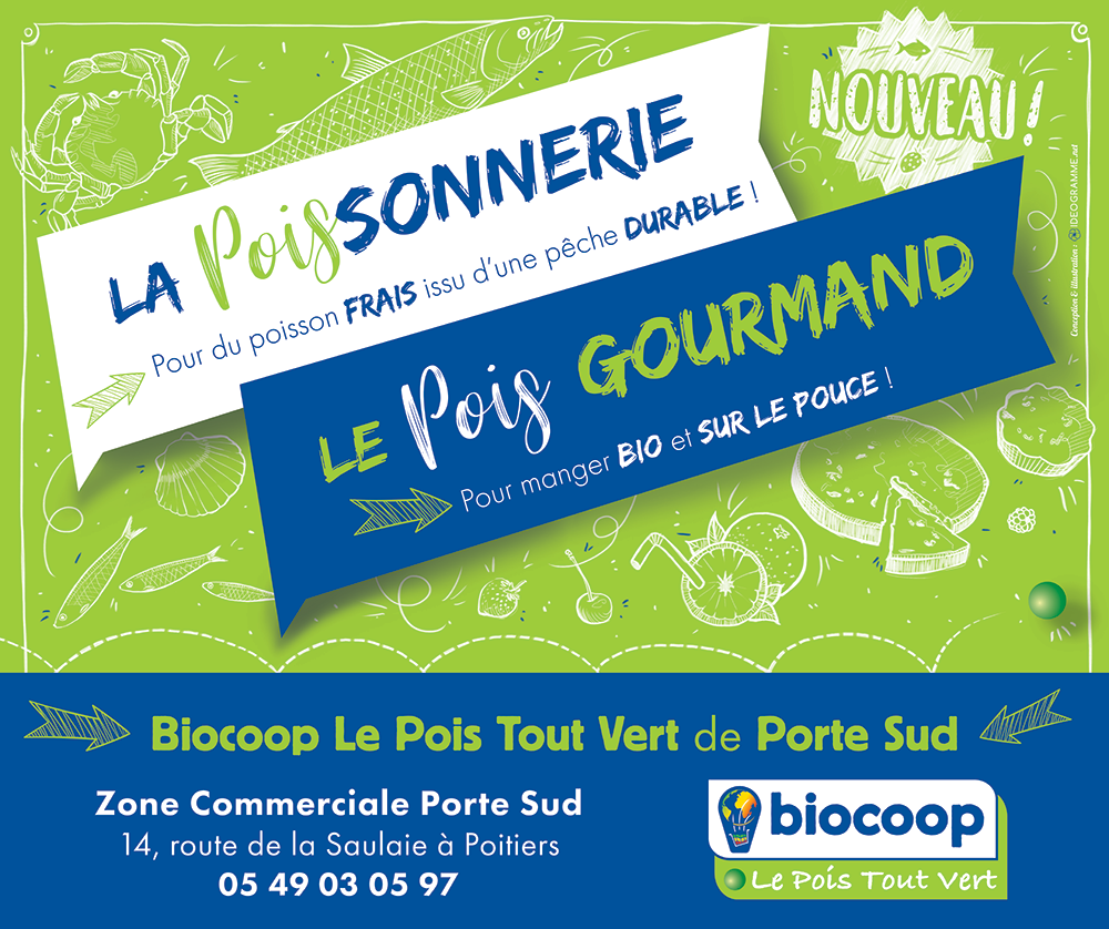 NOUVEAUTES DANS VOTRE MAGASIN DE PORTE SUD !