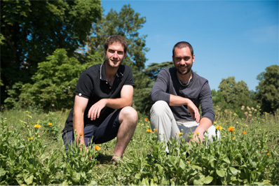 Autour des Plantes Autour des Plantes