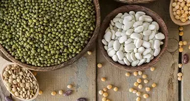 Cultures mineures, intérêt majeur pour la biodiversité